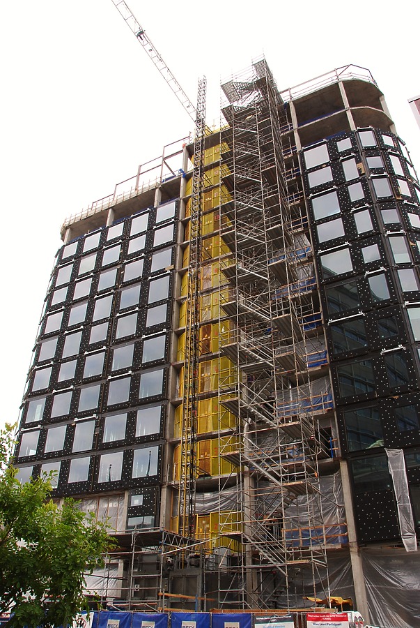 Populus by Brian LoBue