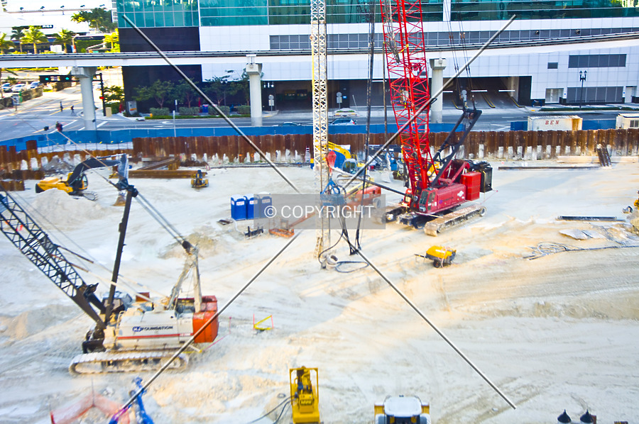 Monarc at Met 3 by Jorge Molina