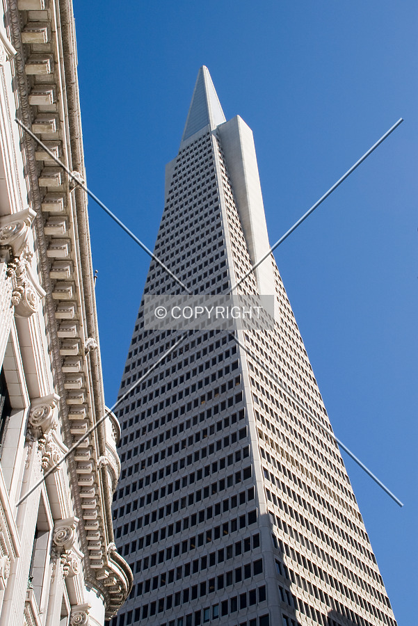 Transamerica Pyramid by Martin Bugajski