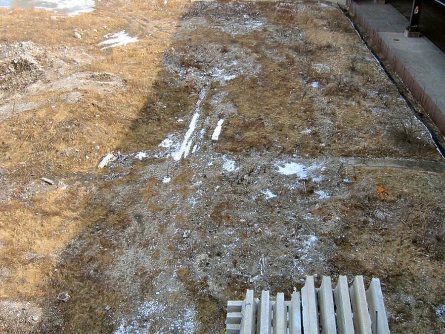 340 on the Park by James Peacock