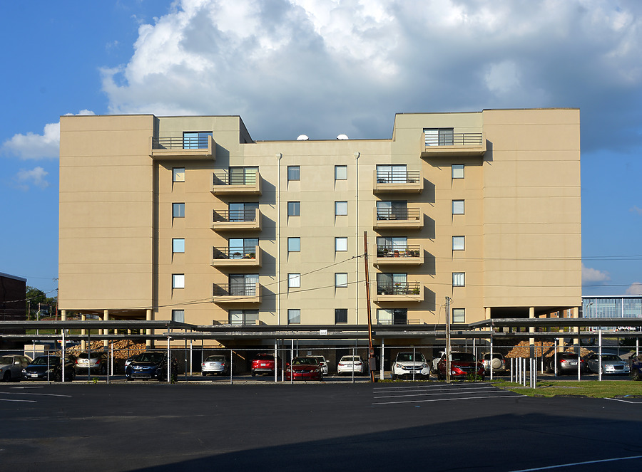 Fort Henry Arms by John W. Cahill