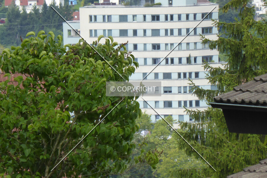 Chesterplatz 9