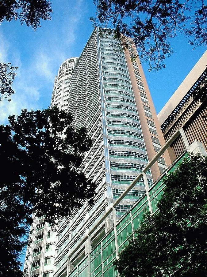 Springleaf Tower by Edmund Teo