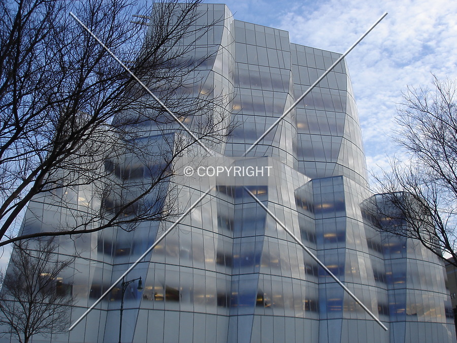 IAC Building by Royce Douglas