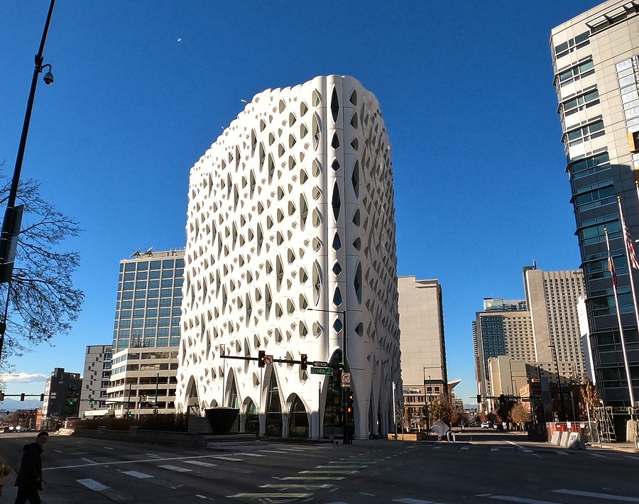 Populus by Brian LoBue