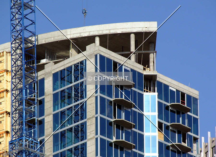 Avenue by Chris Patriarca