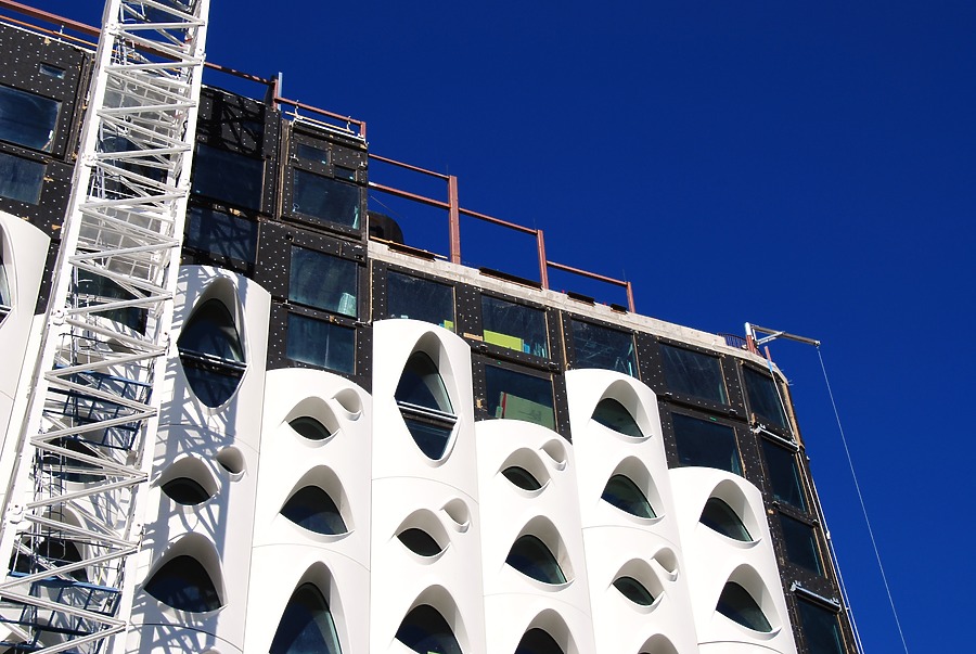 Populus by Brian LoBue