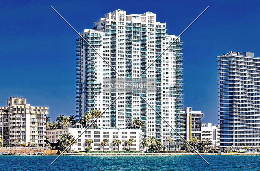 The Floridian by Jorge Molina