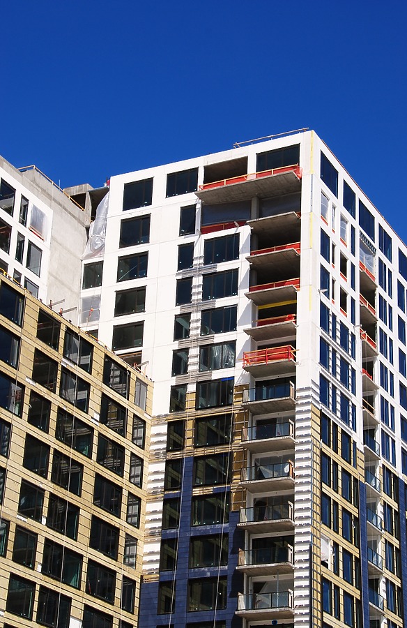 The Coloradan by Brian LoBue