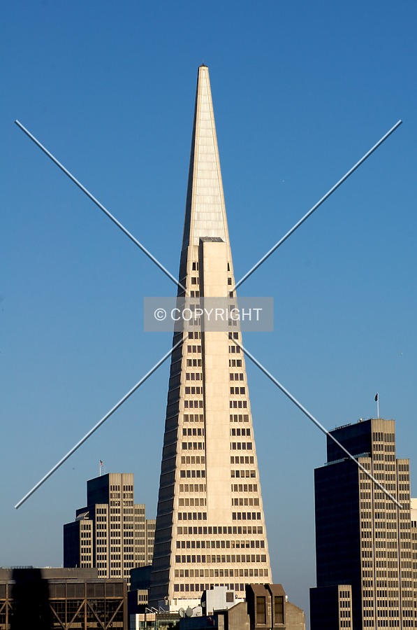 Transamerica Pyramid by Martin Bugajski