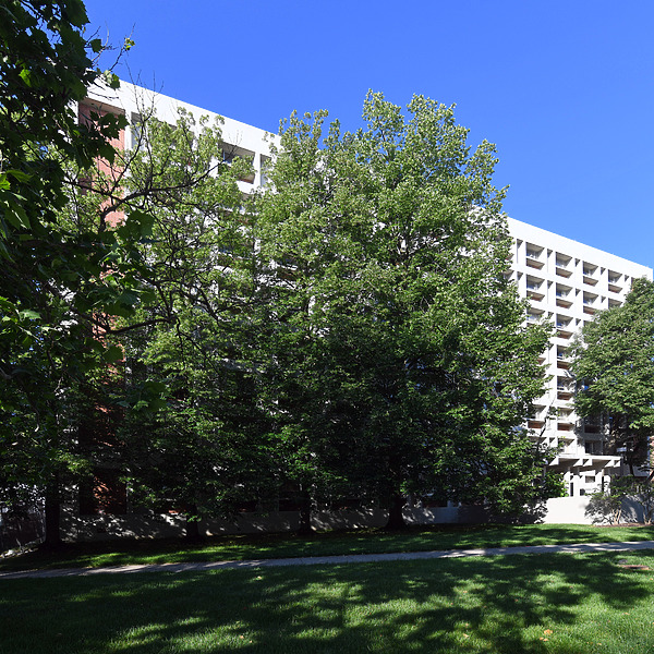 Palmer Hall by John W. Cahill