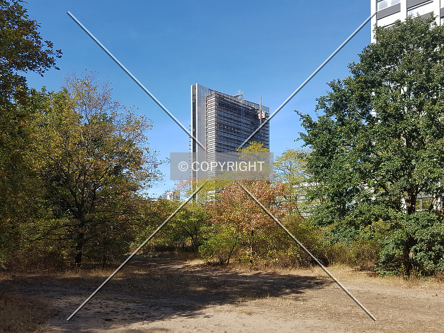 Ruby Tower by Nephilim