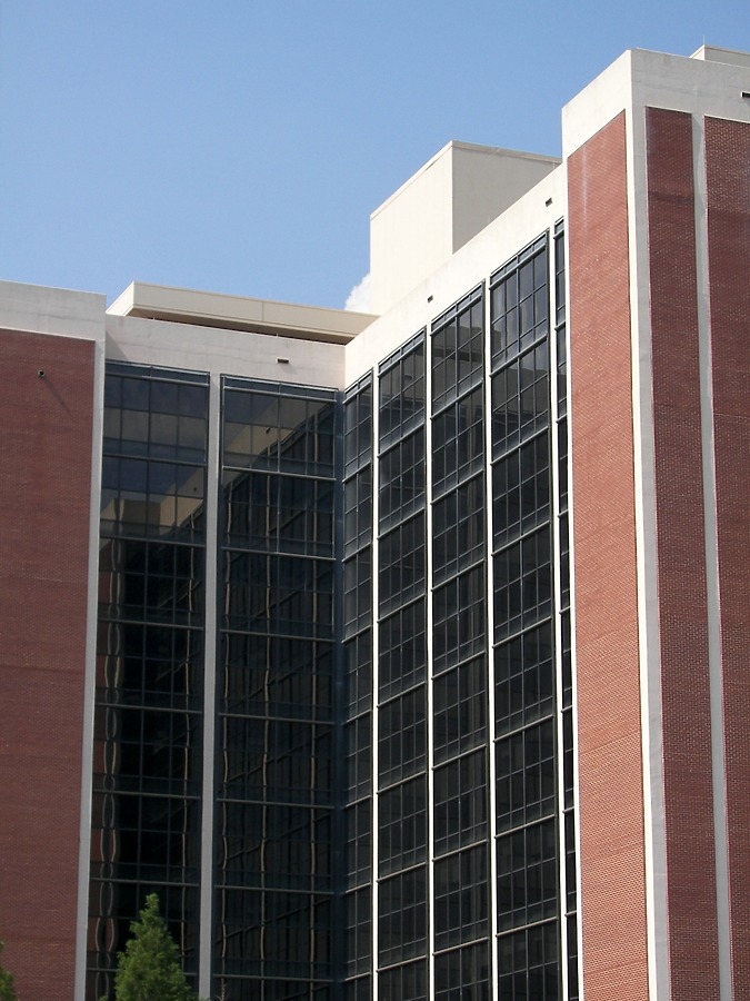1001 International Building by Rodney Gunn
