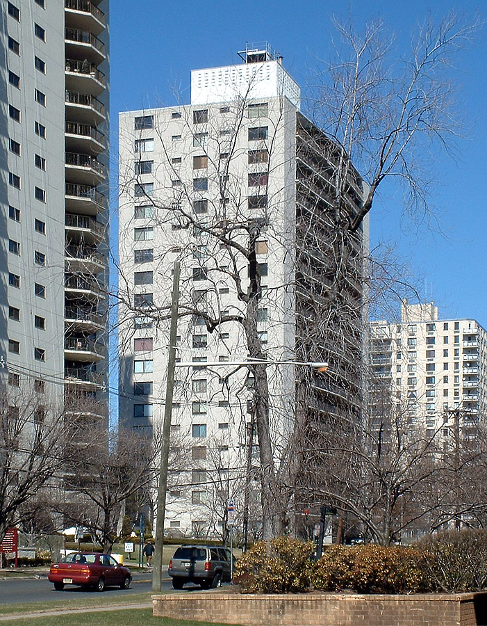The Bristol House by John Cahill