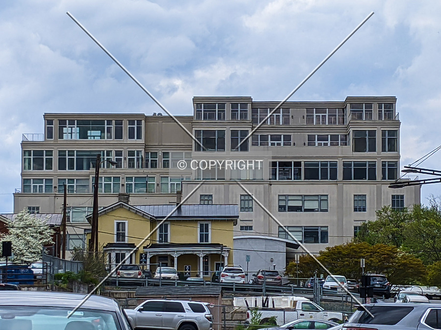 Waterhouse by Chris Patriarca