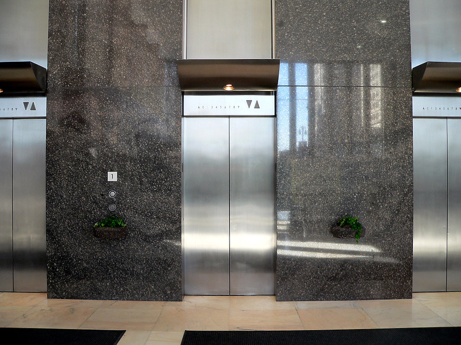1001 Woodward by B. Victor Adams