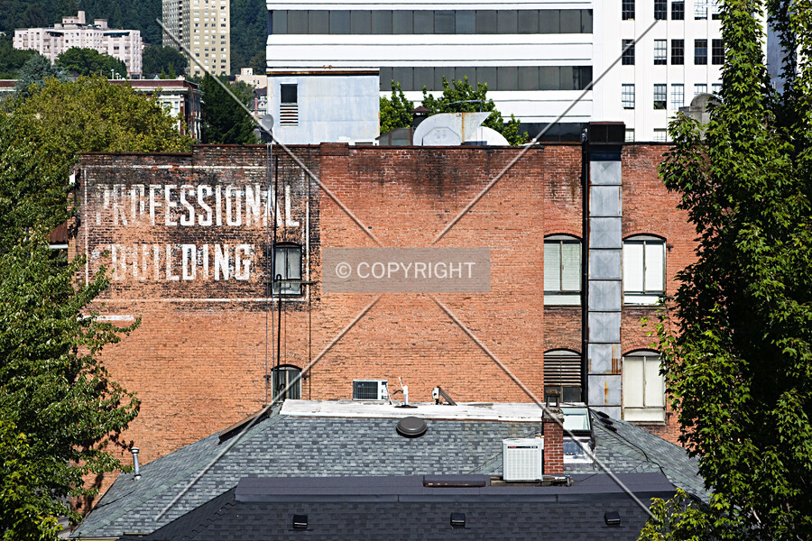 Professional Building