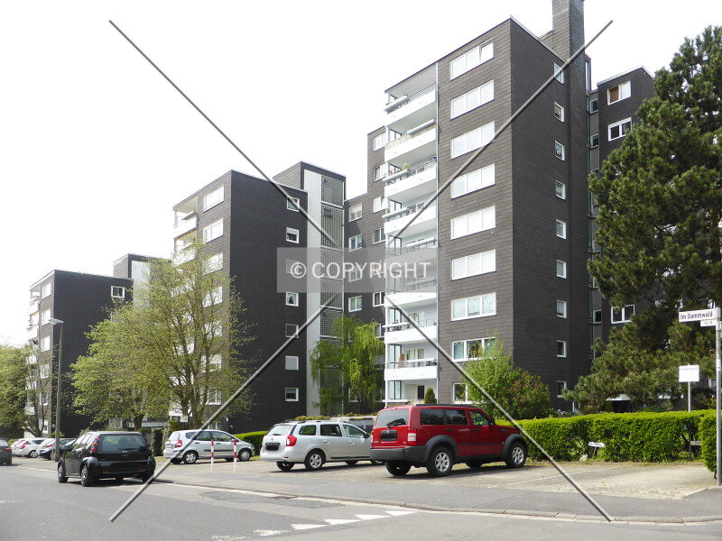 Im Dammwald 6,16-20