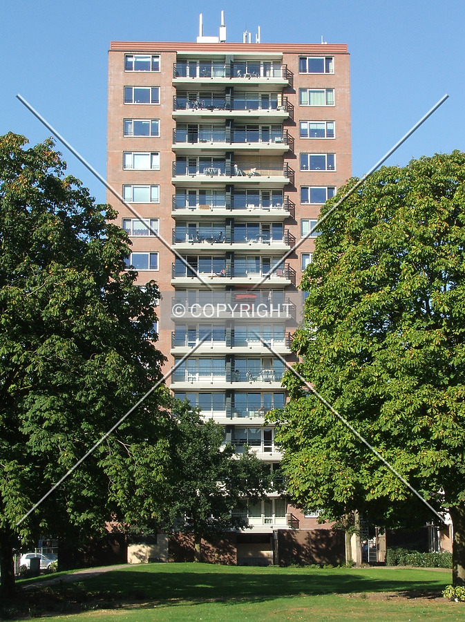 De Jeker by René Hogendijk