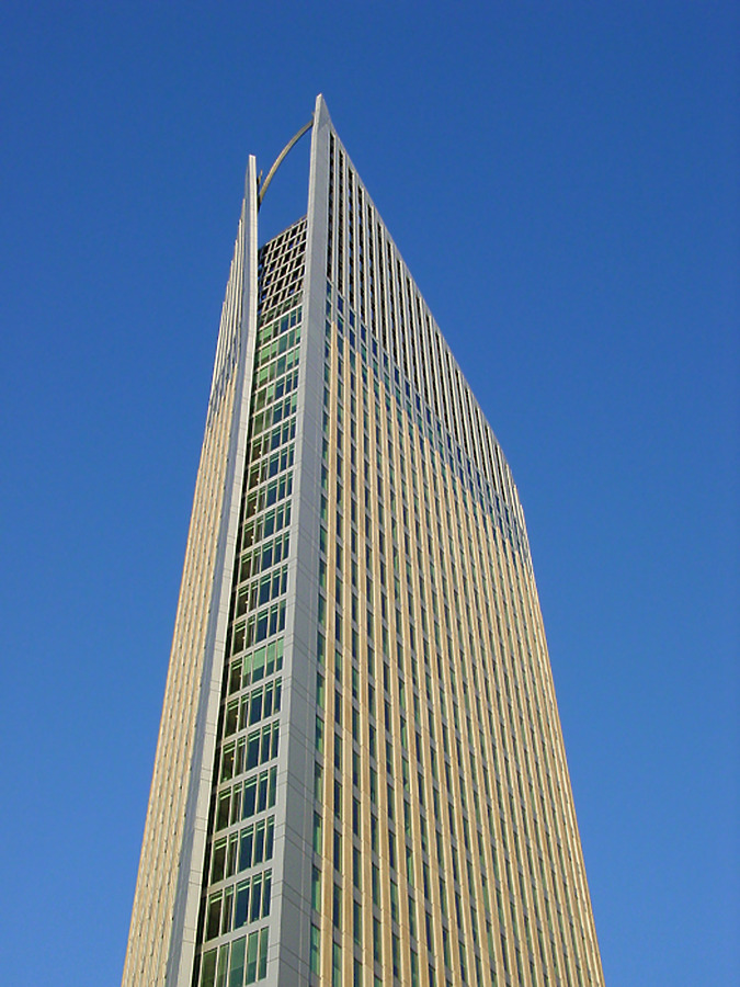 Hoftoren by Michiel van Dijk