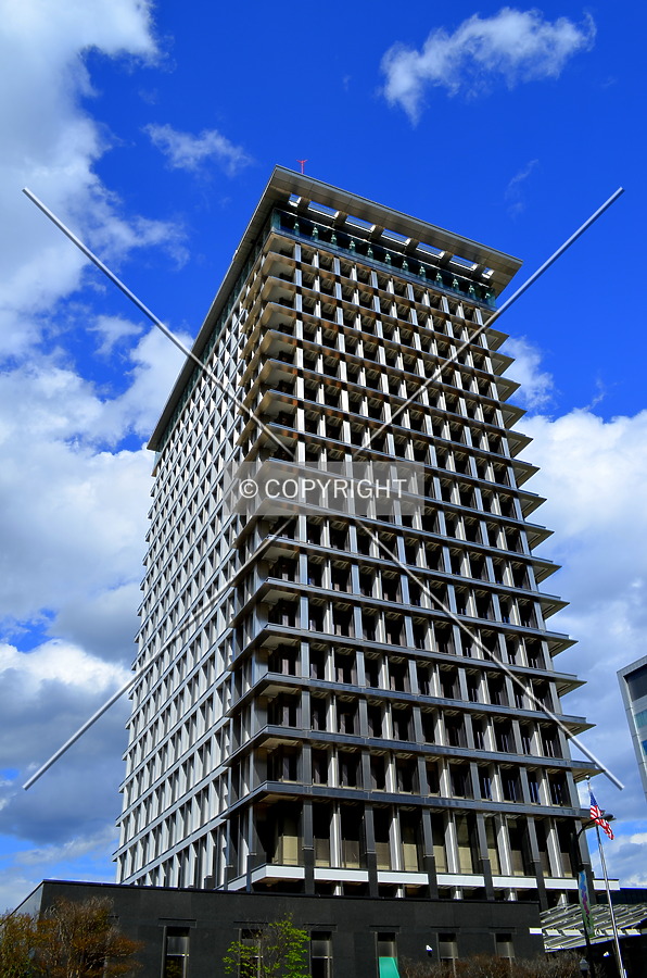 Richmond City Hall by Rodney Gunn