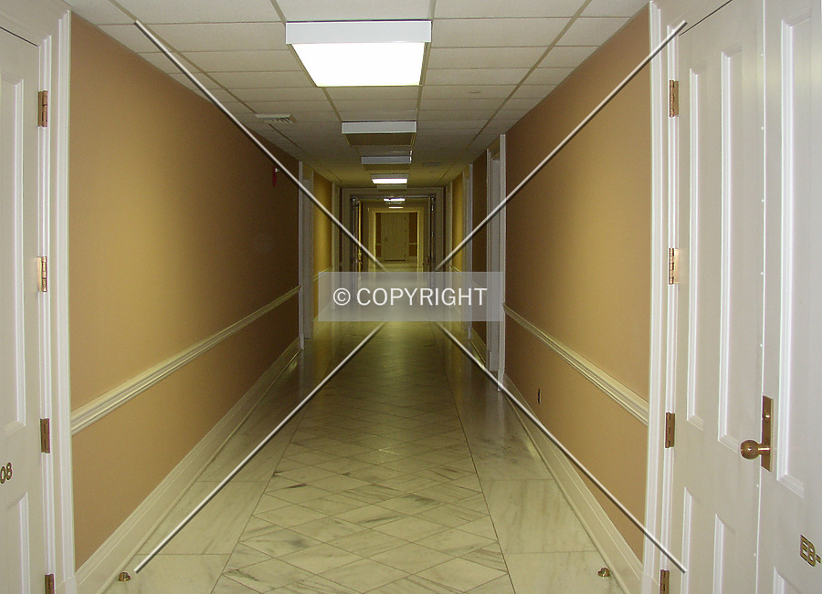 Alabama State Capitol by Chris Patriarca