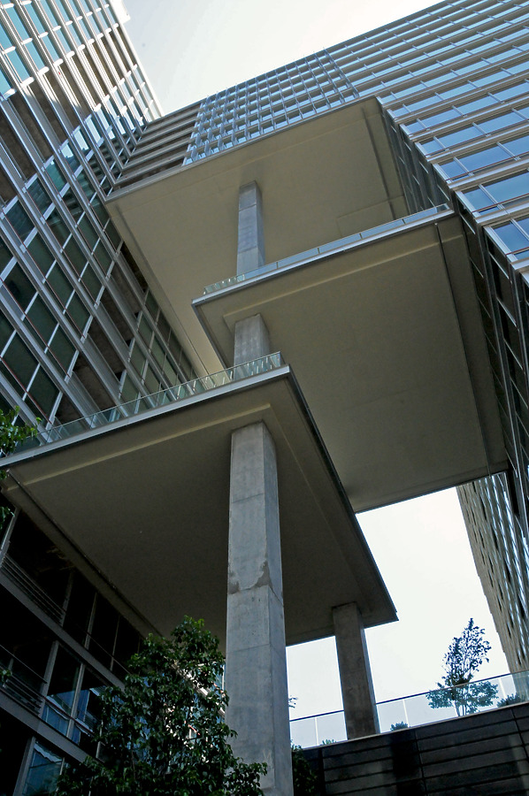 Optima Old Orchard Woods by Shawn Ursini