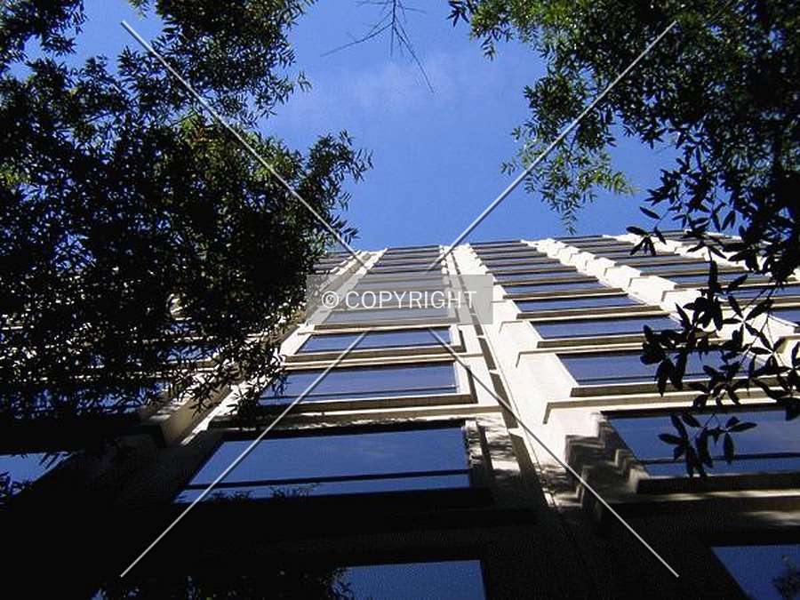 230 South Tryon by Chris Patriarca