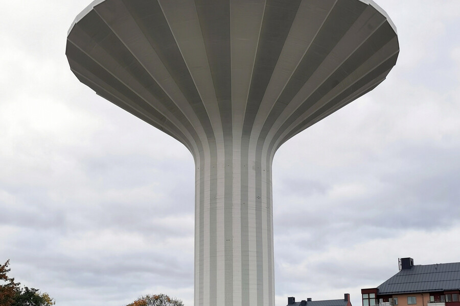 Svampen
