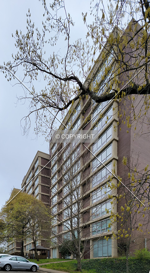 Mountain View Towers by Ryan Hildebrand