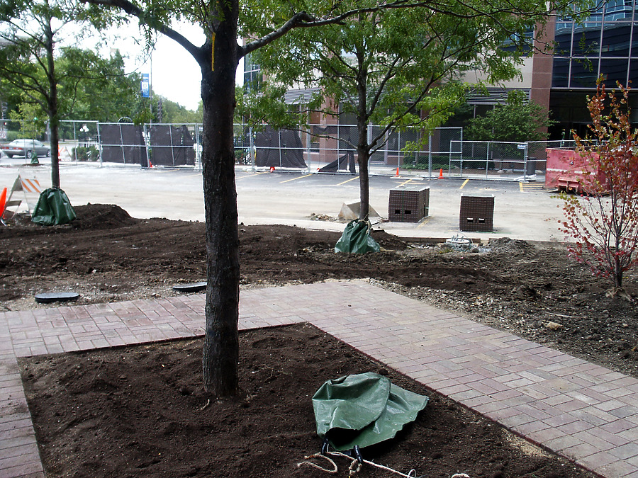 Optima Horizons by Daniel Kieckhefer