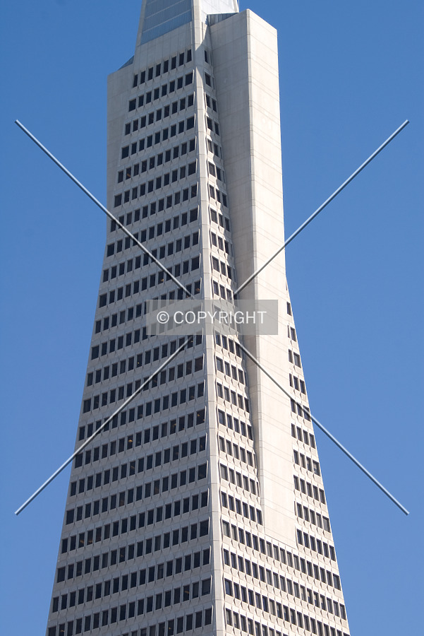 Transamerica Pyramid by Martin Bugajski