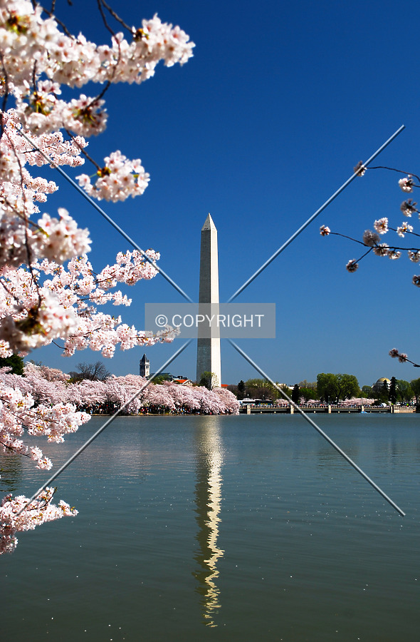 Washington Monument by Royce Douglas