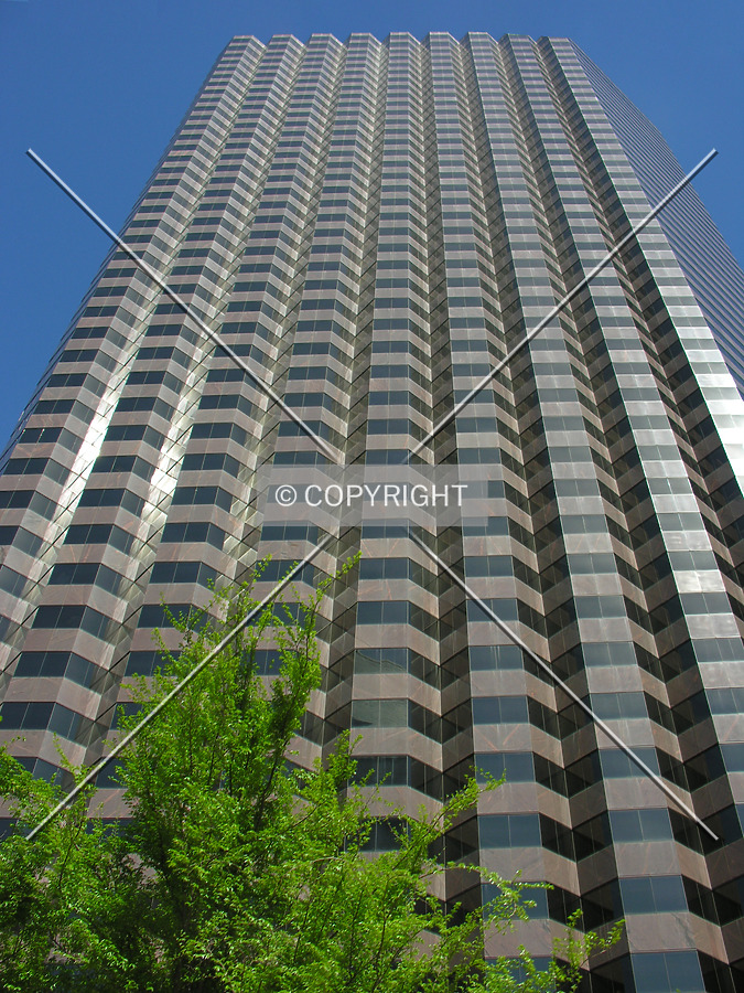 Ross Tower by Lizzie Morrison