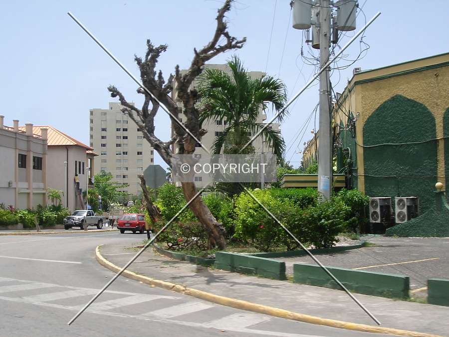 Turtle Beach Towers II by Nephilim