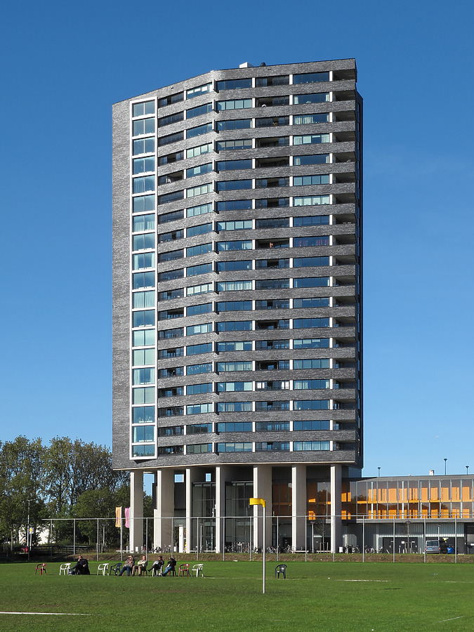 De Stadswachter by Michiel van Dijk