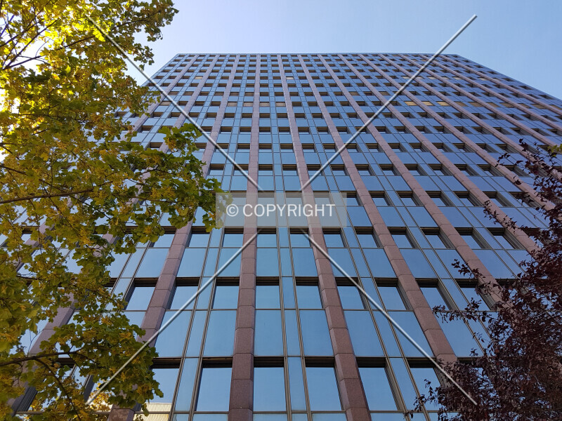281-932-961