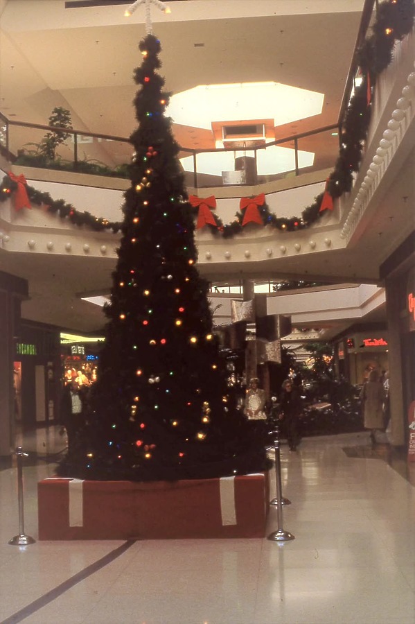 Chesterfield Mall by Dwayne Pounds