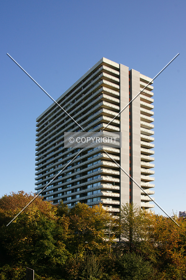 Panorama by Nephilim