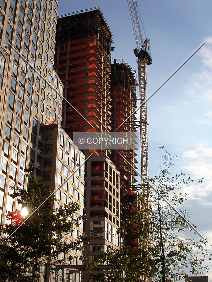 The Rushmore by Royce Douglas