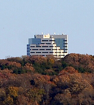 The Oxford