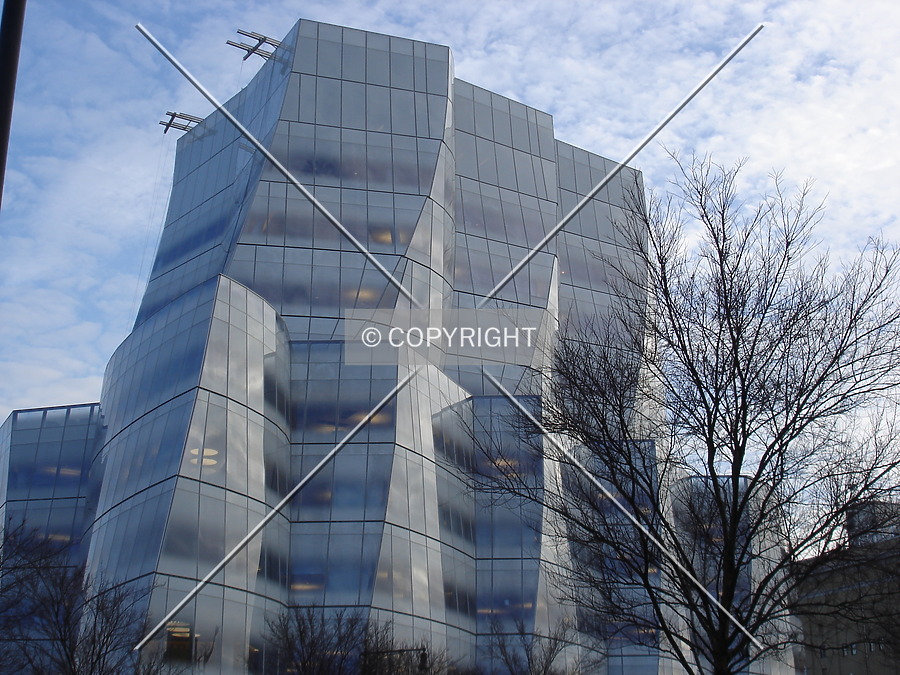 IAC Building by Royce Douglas