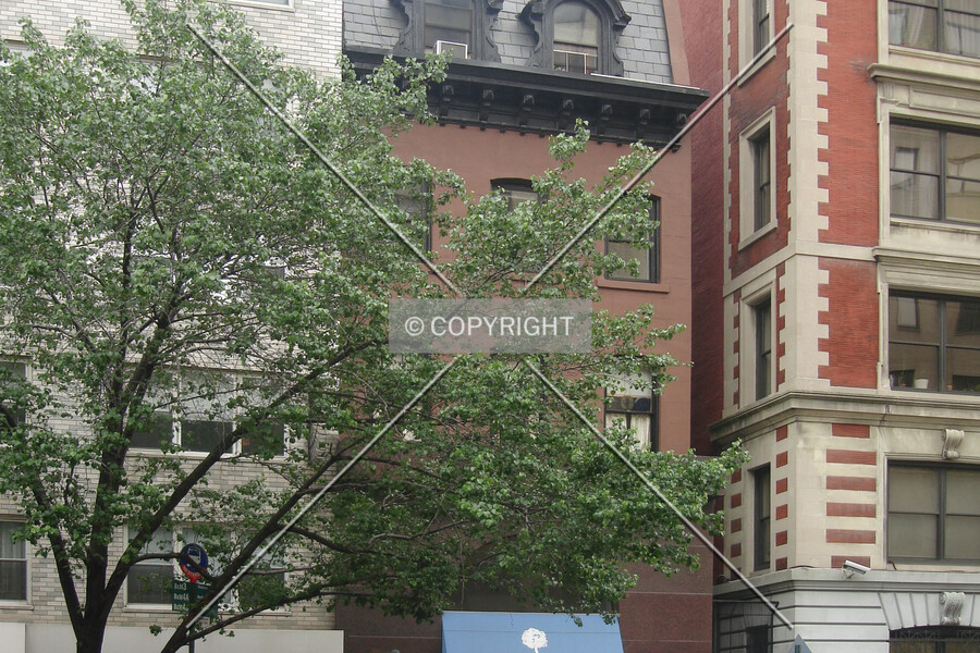 1113 Madison Avenue