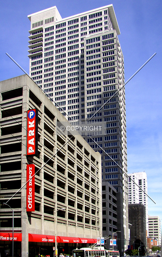 The Paramount by Chris Patriarca