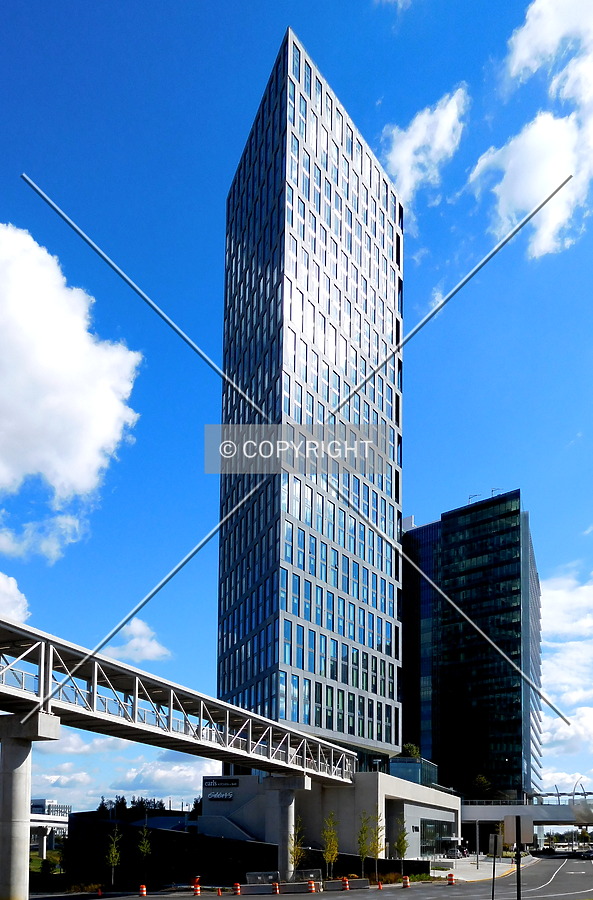 Vita by Chris Patriarca