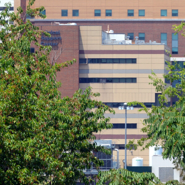 View from the southeast