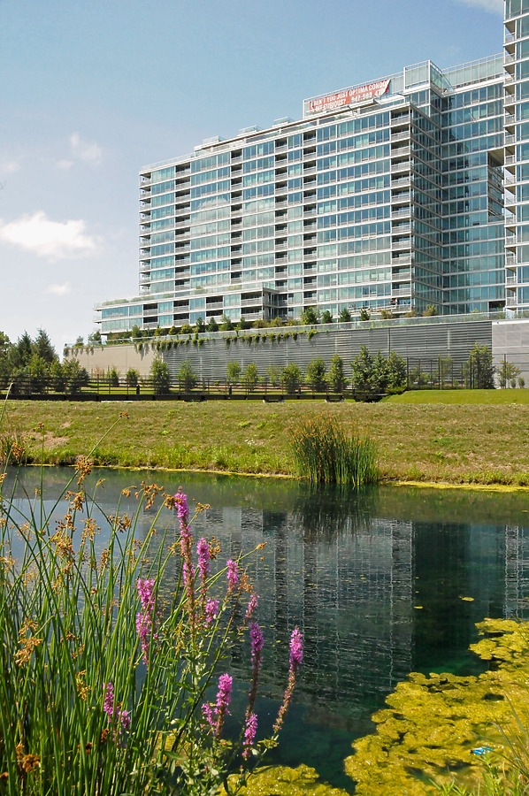 Optima Old Orchard Woods by Shawn Ursini