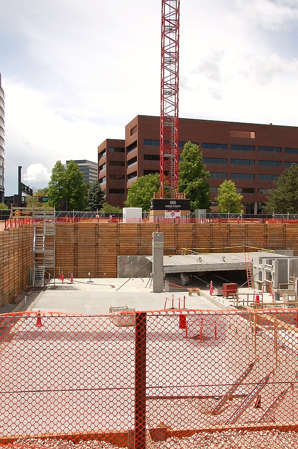 50 Fifty DTC by Brian LoBue