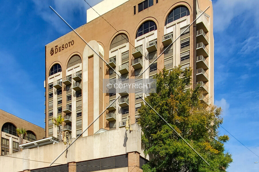 The Desoto Savannah