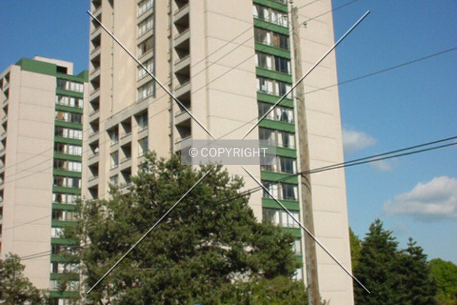 Bayside Property Services Ltd.